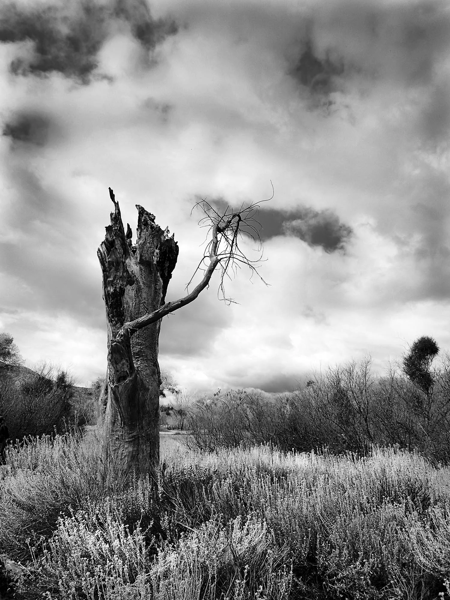 A hole in the Sky 16x20 FINAL WEBSITE.jpg