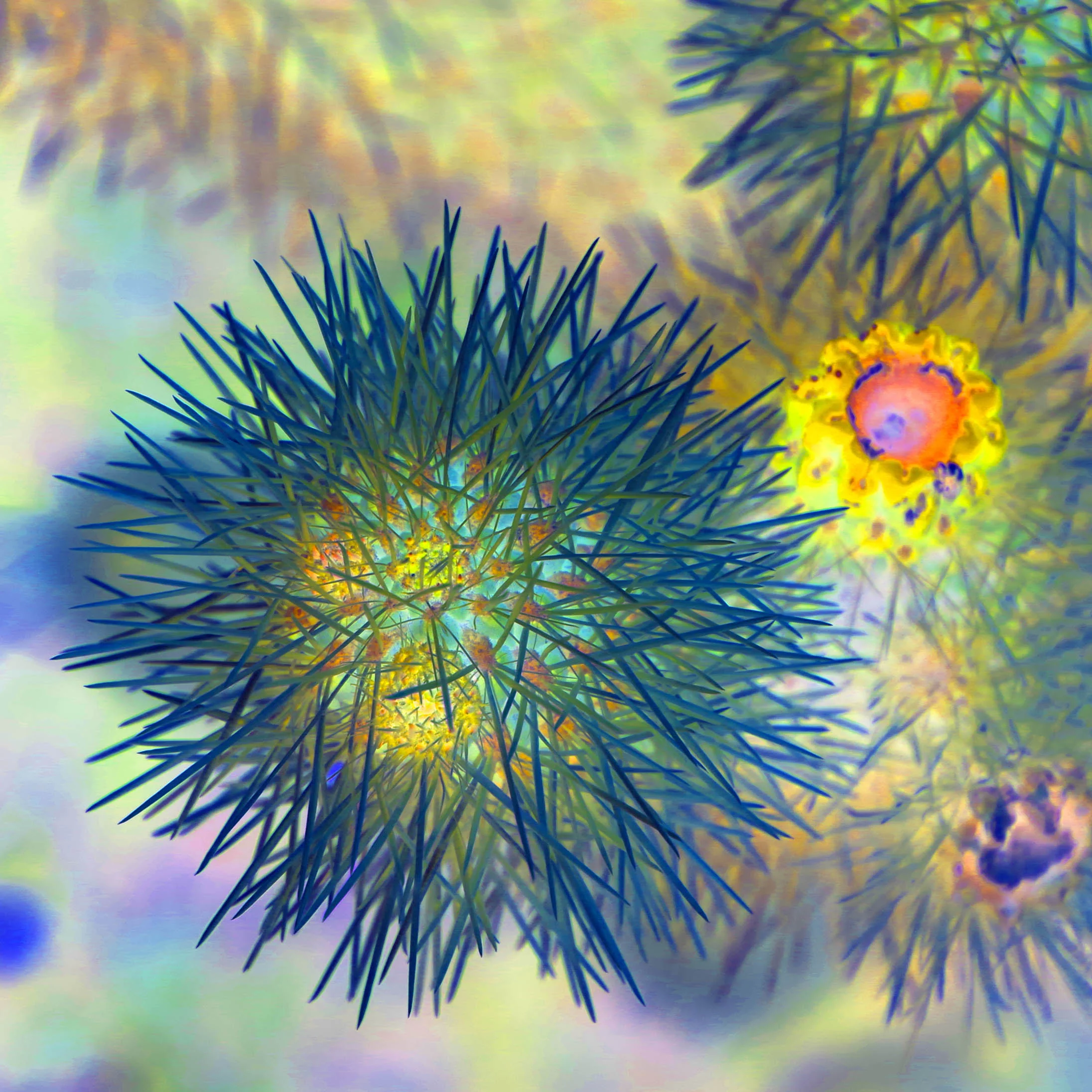 Desert Urchin 30x30 FINAL WEBSITE.jpg
