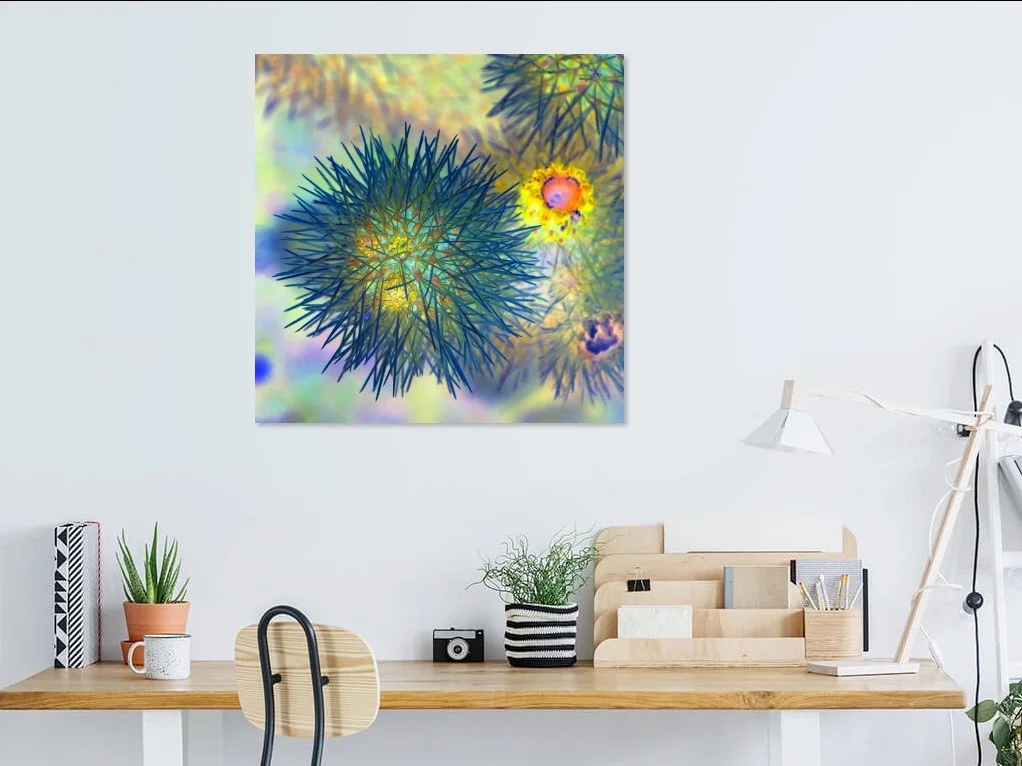 Desert Urchin In Situ SMALL.jpg