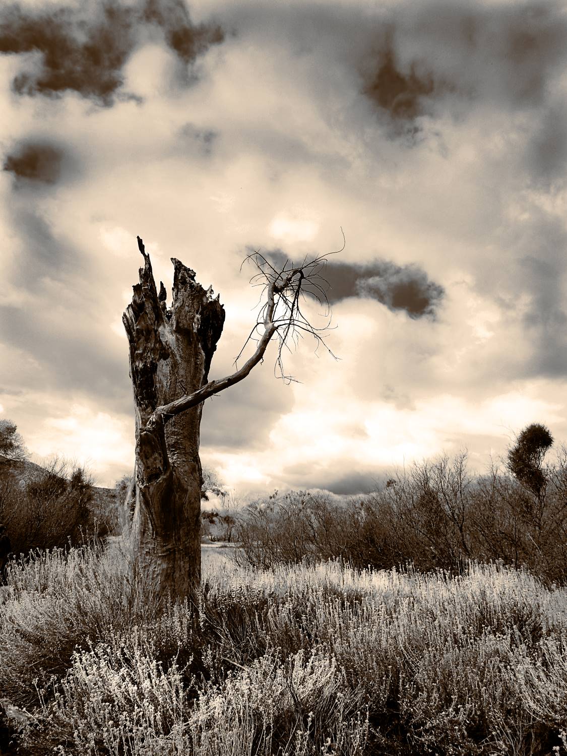 A hole in the Sky 16x20 SEPIA FINAL WEBSITE.jpg