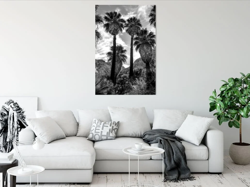 Four Palms In situ LARGE.jpg