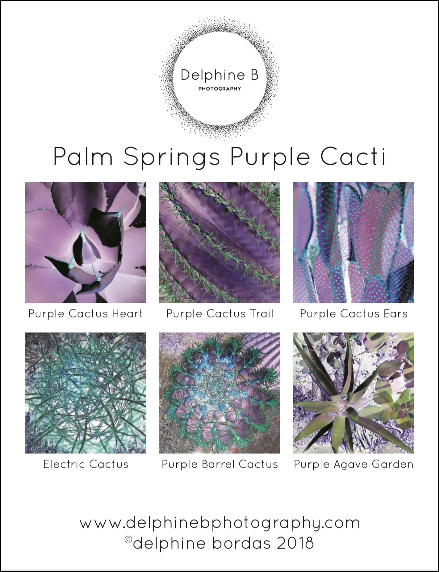 background image purple cacti WEBSITE.jpg