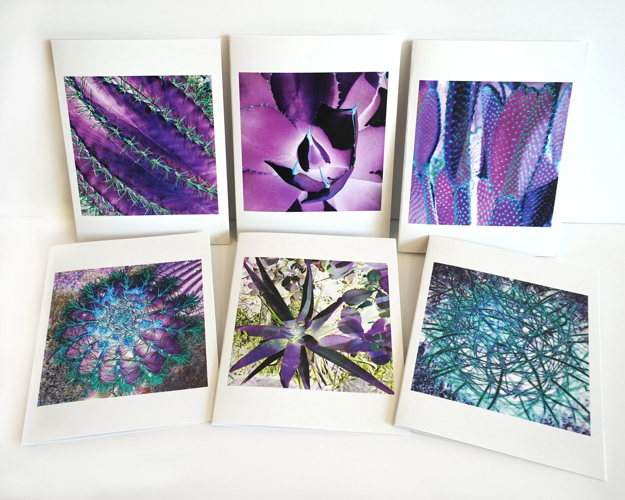 Purple Cacti - Card set, 6 cards and envelopes