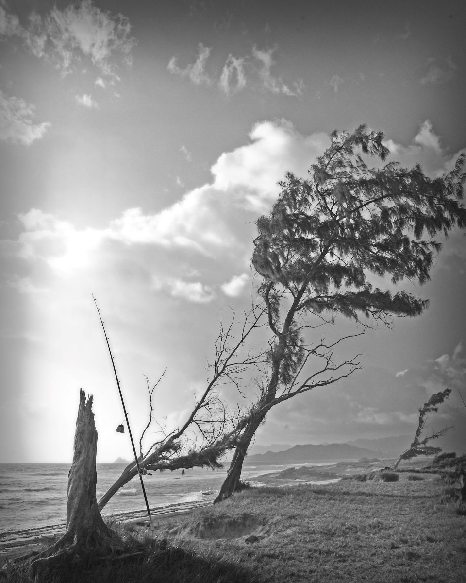 Fishing at Mokapu 16x20bwglow WEBSITE.jpg