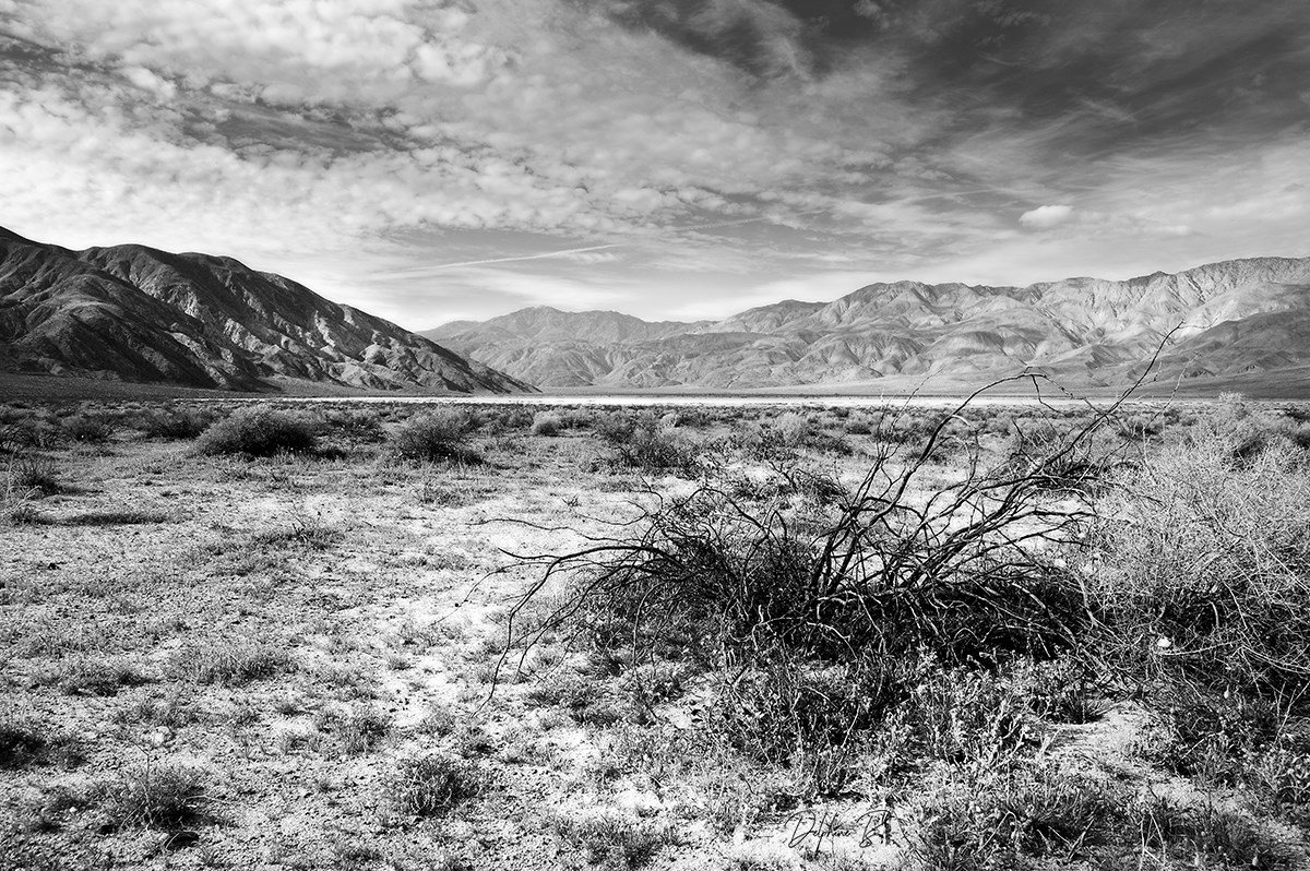 Vision of a Dry Lake