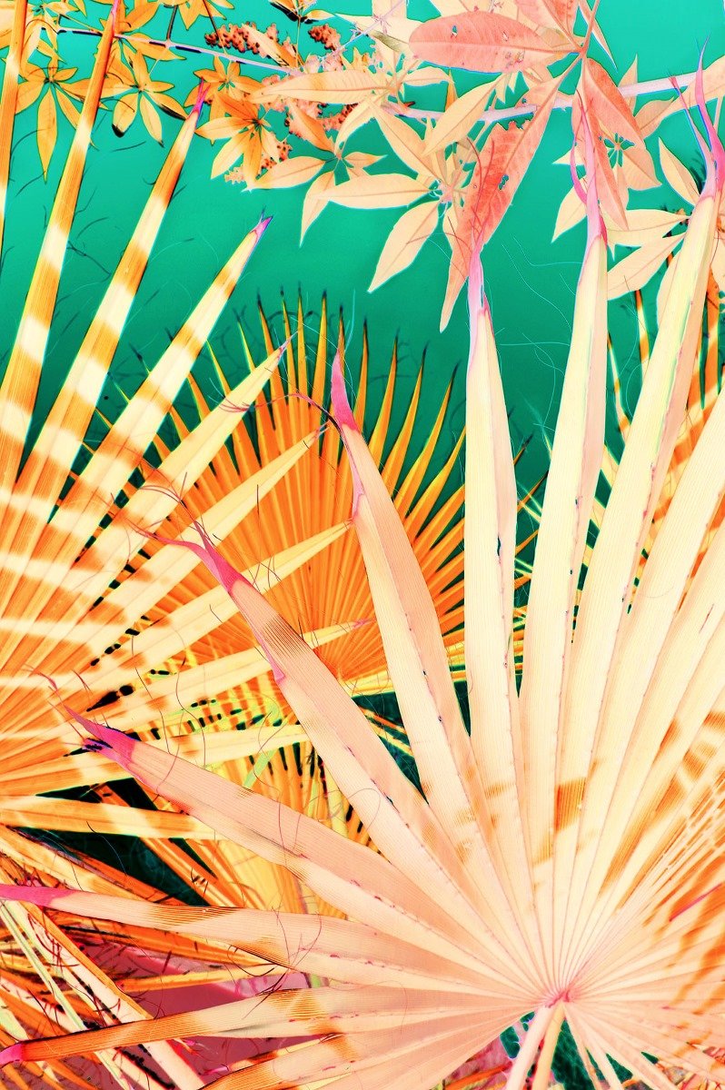 Origami Palms Jungle
