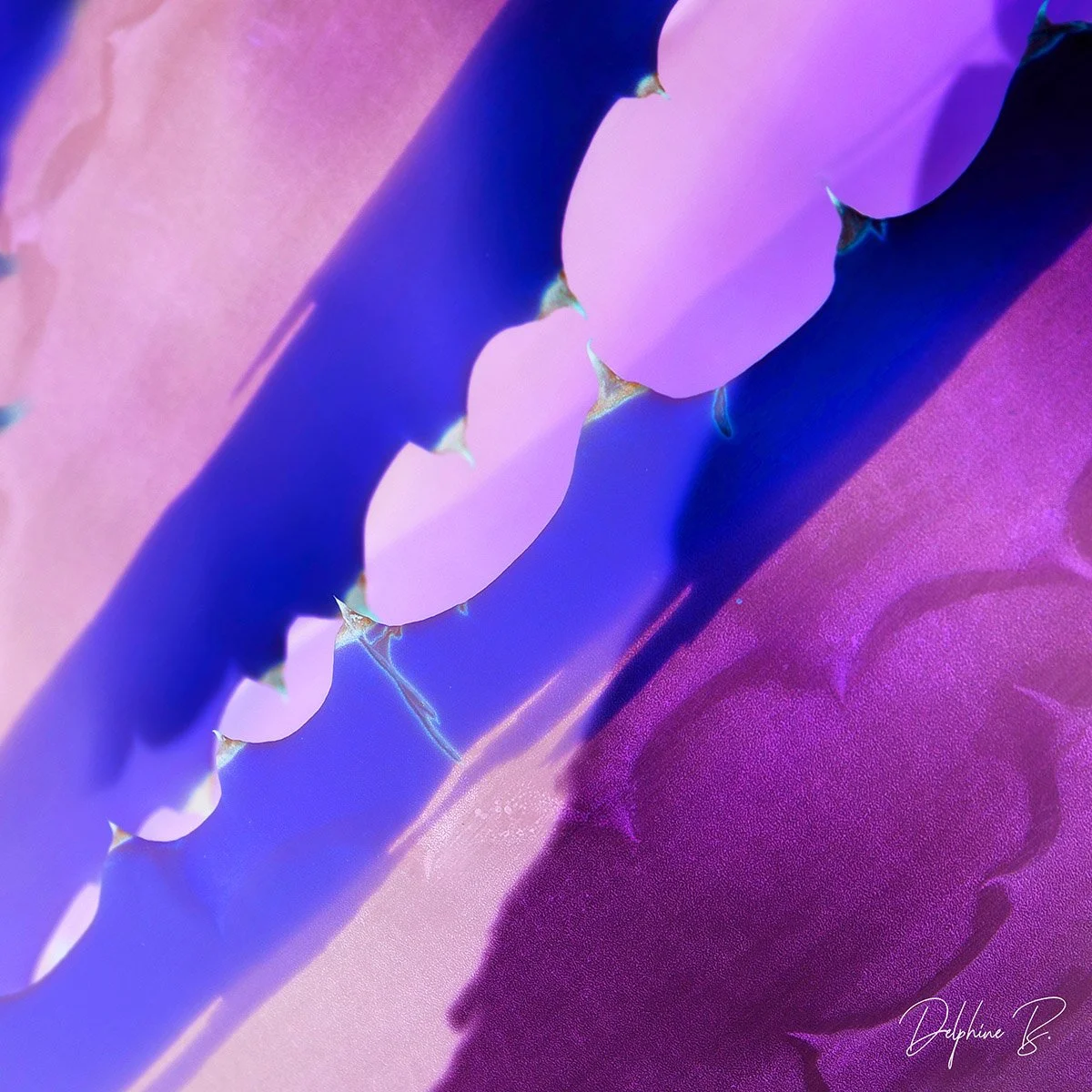 Purple Wave, 16x16 inches - SALE
