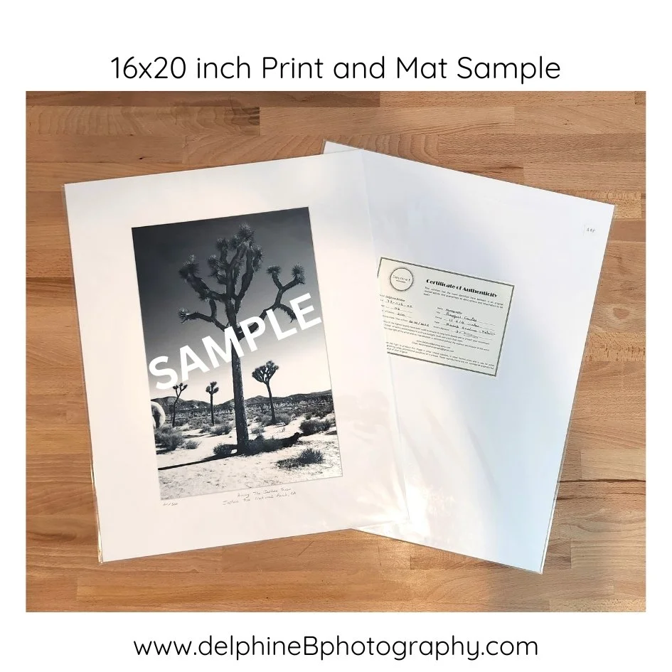 SALE Sample 10x15 inch VERTICAL.jpg