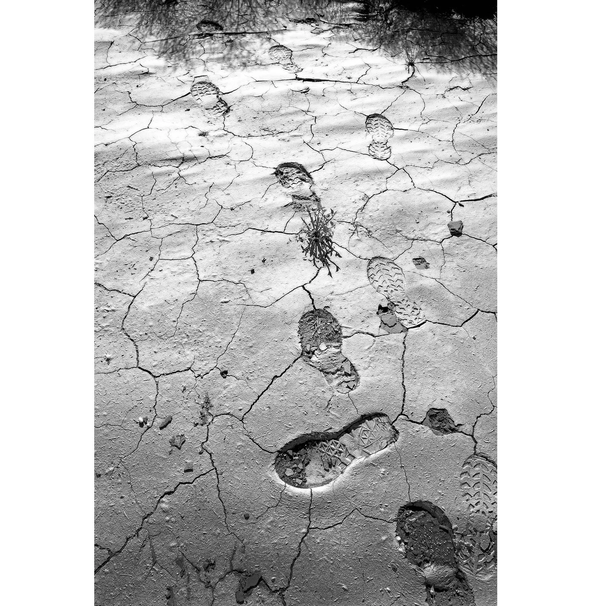 Desert Foot Steps, 16x20 inches - SALE