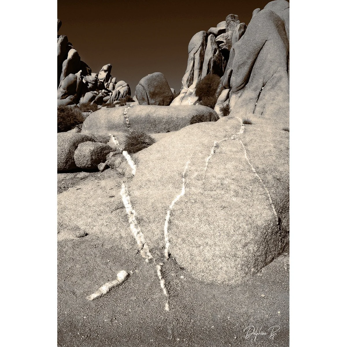 White Lines-Sepia, 16x20 inches - SALE