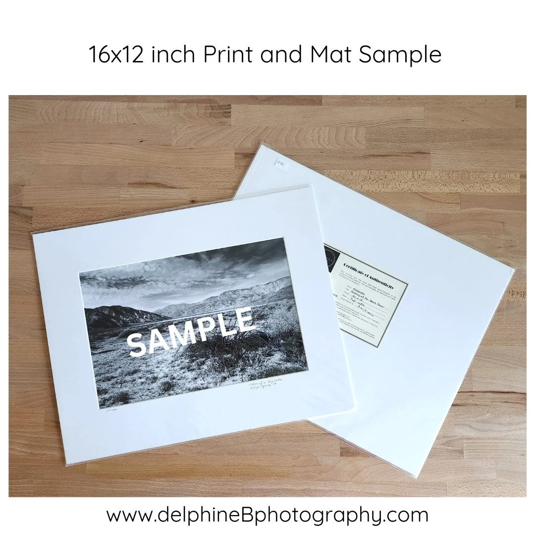 SALE Sample 16x20 horizontal inch..jpg
