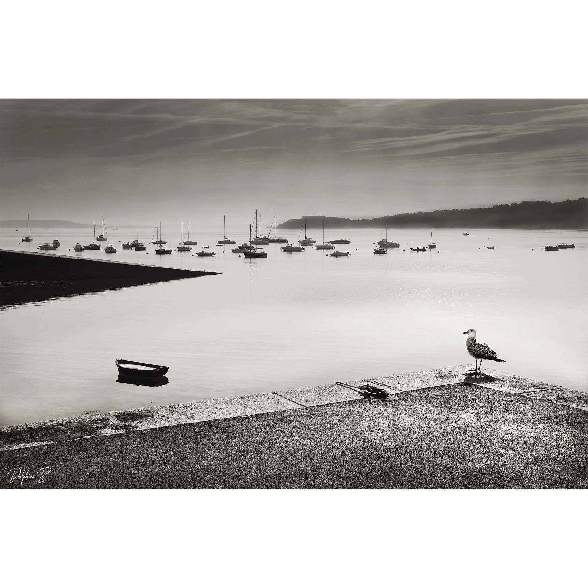 Calm Waters, 16x20 inches - SALE