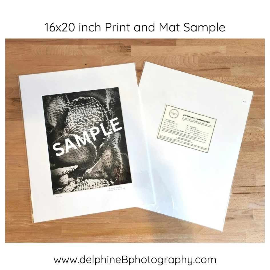 SALE Sample 11x14 inch.jpg