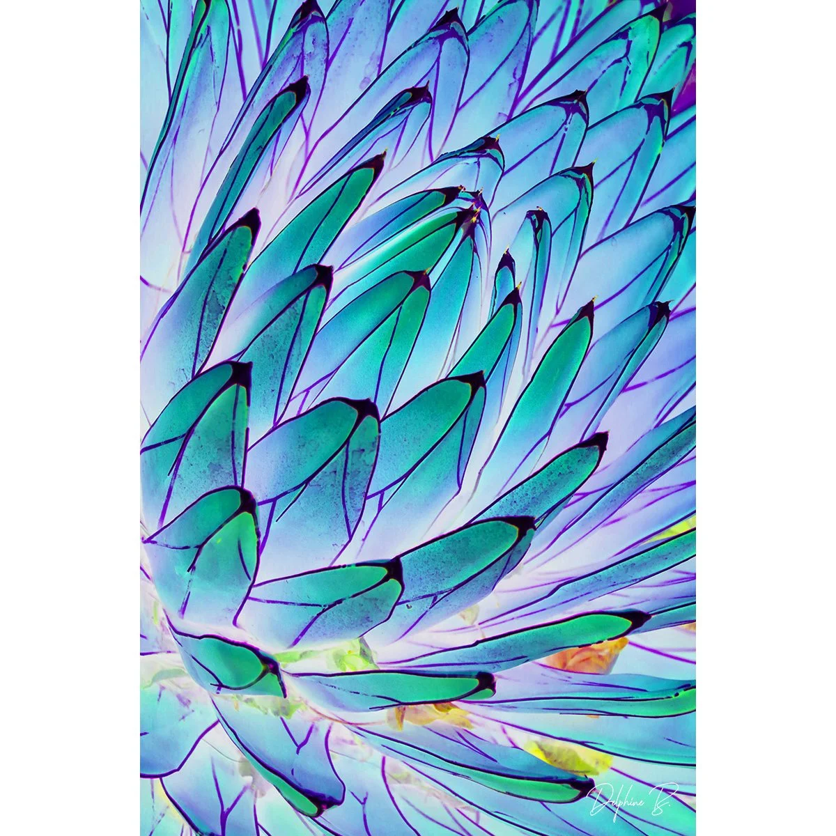 Blue Mosaic Agave, 16x20 inches - SALE