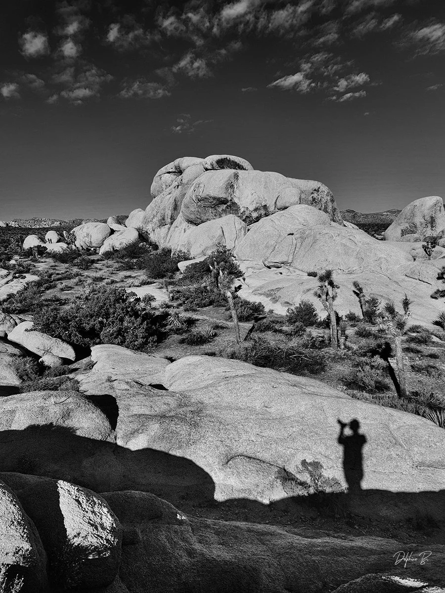 Why Nature is good for me (and you) - April 2026