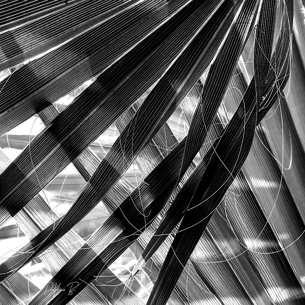 Woven Shadows