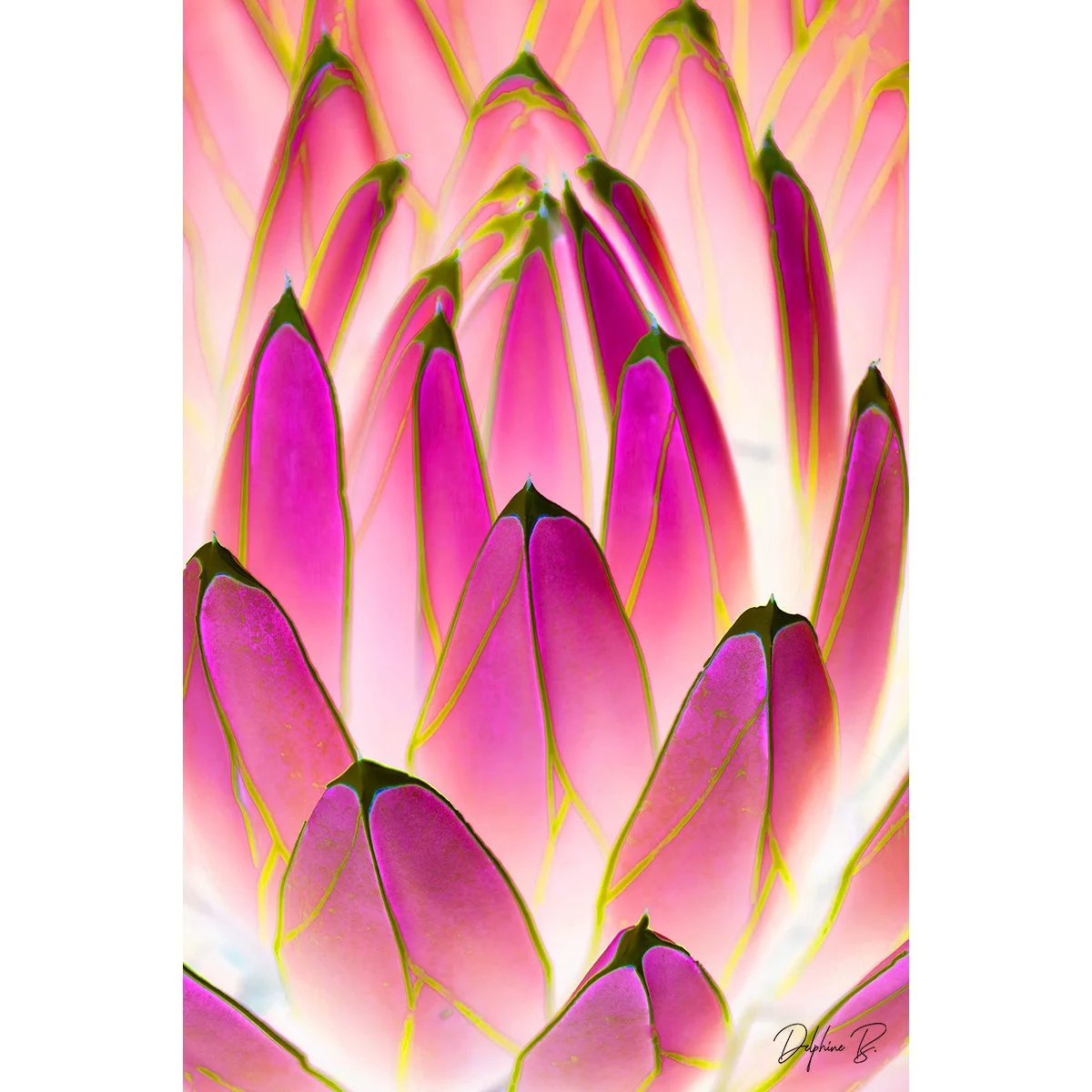 Pink popsicles 20x20 FINAL THUMB WEB.jpg