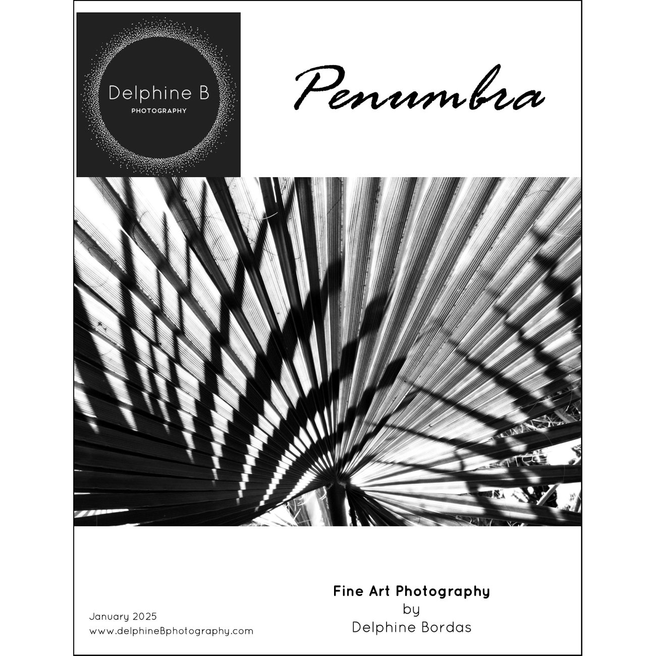 Penumbra catalogue cover WEB THUMB.jpg