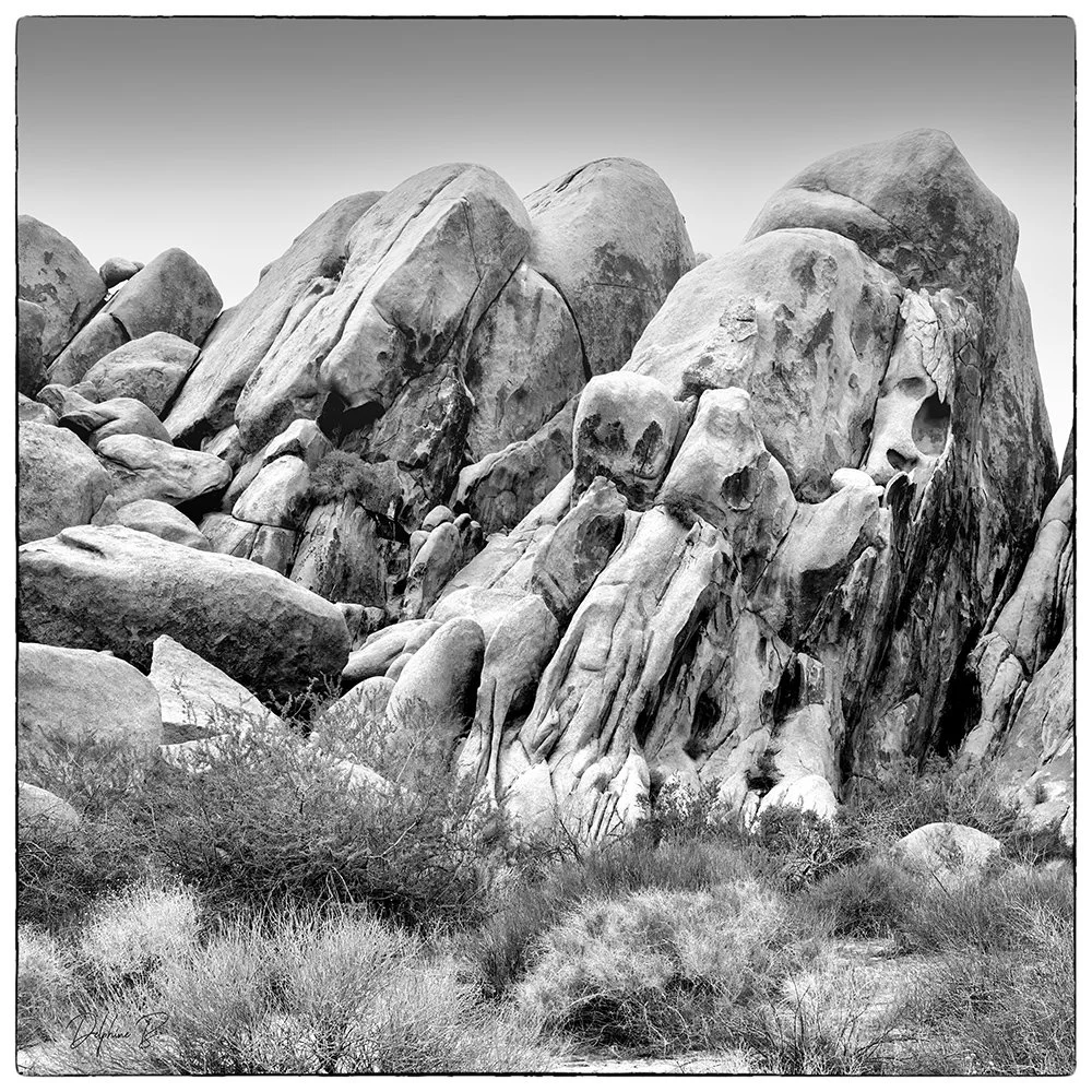 Zombie Land 20x20 FINAL WEB.jpg