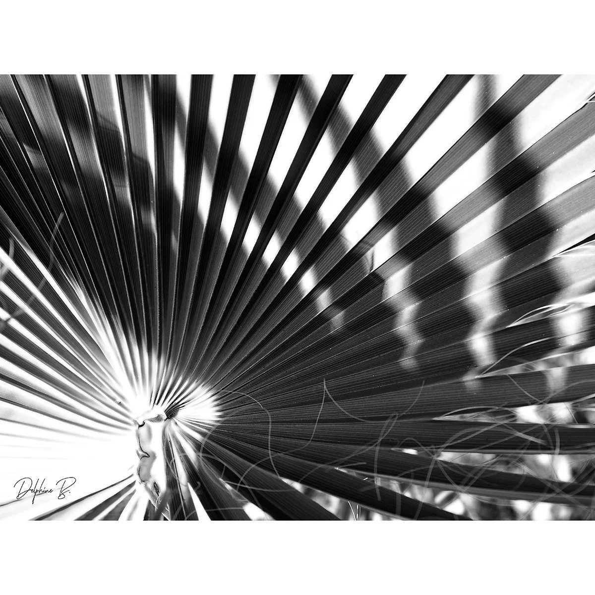 WITHOUT A SHADOW OF A DOUBT FINAL 20x24 WEB THUMB.jpg
