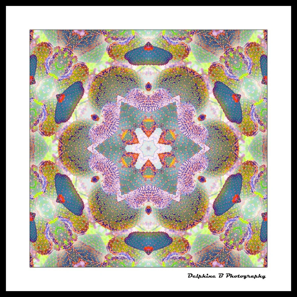 Kaleidoscope Hive 20x20 FINAL CANVAS SMALL.jpg
