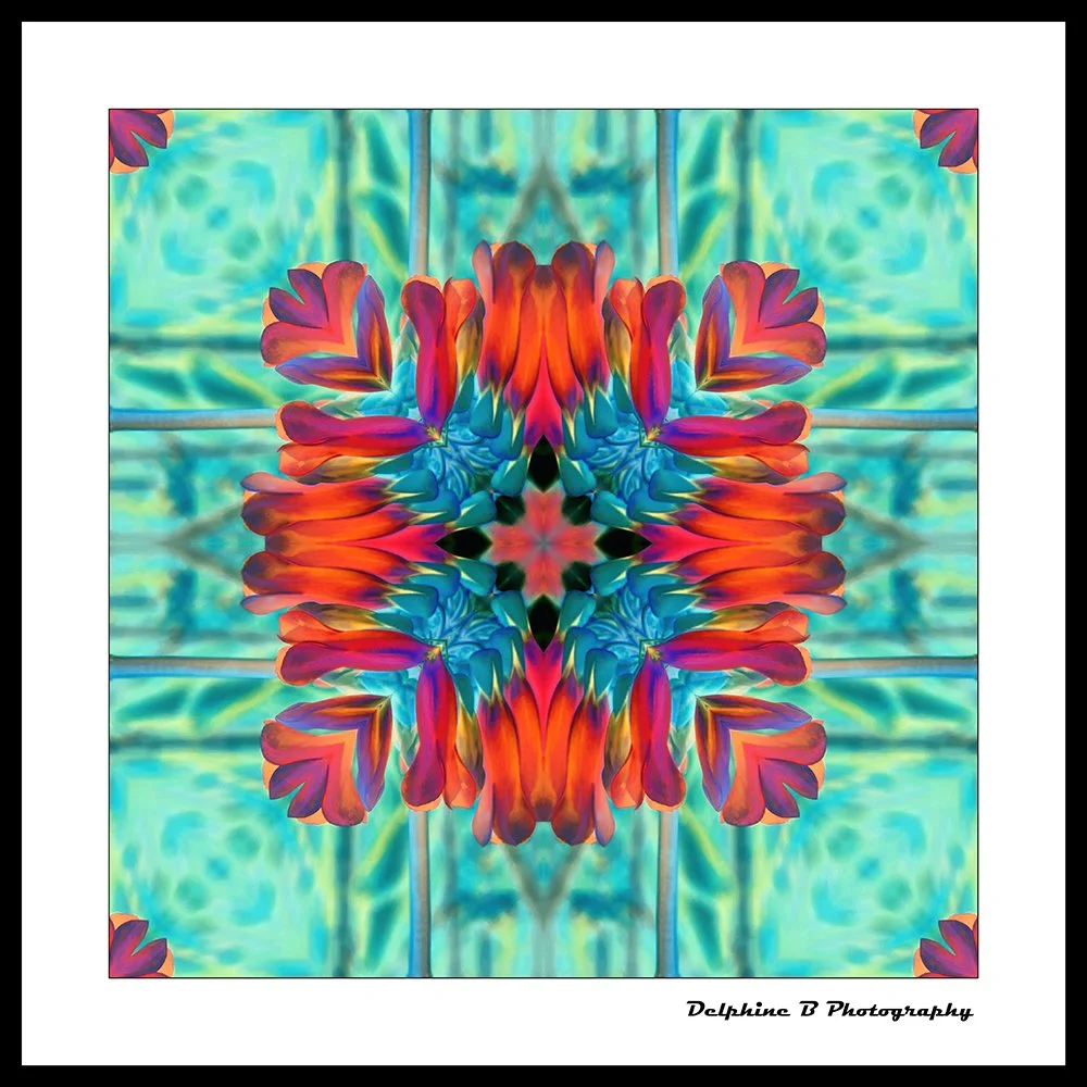 When Petals Square Dance FINAL CANVAS SMALL.jpg