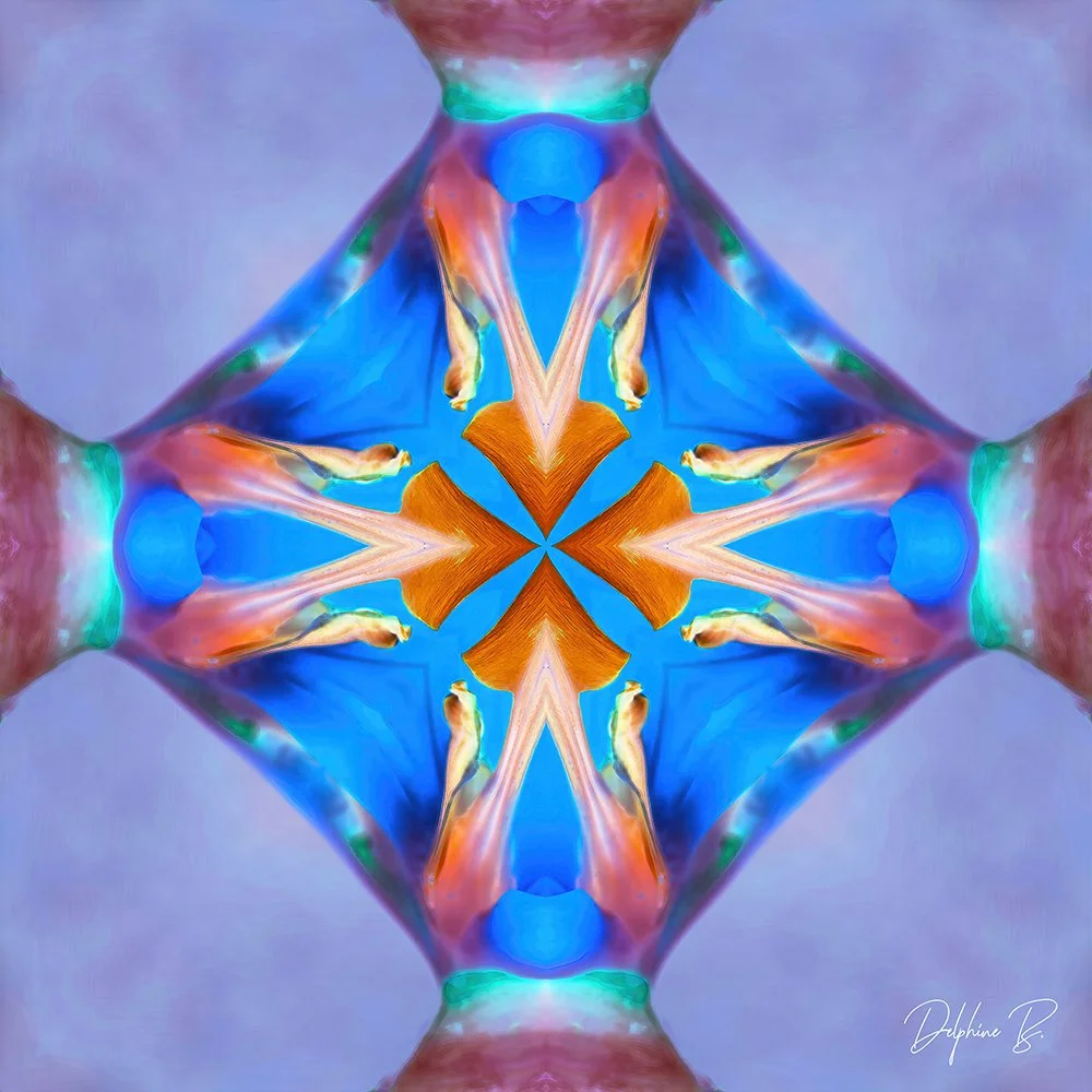 When Symmetry Dreams FINAL WEB.jpg