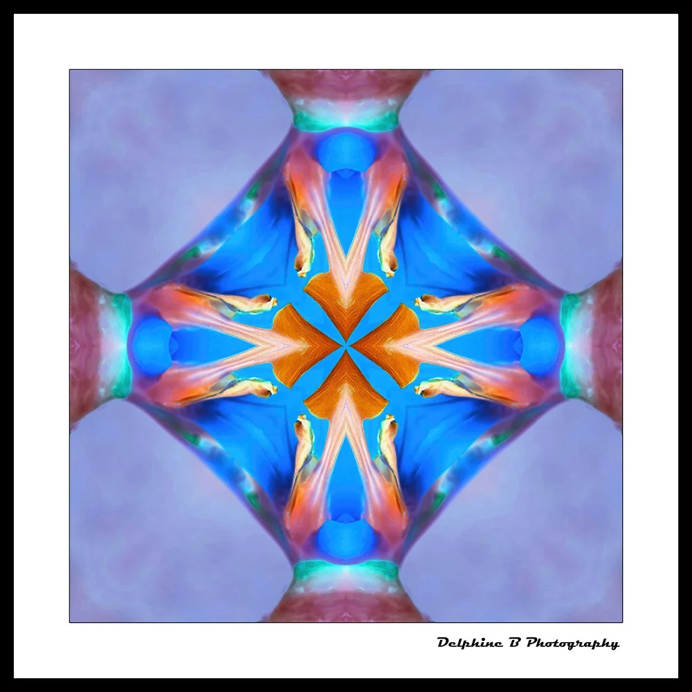 When Symmetry Dreams 20x20 FINAL CANVAS SMALL.jpg