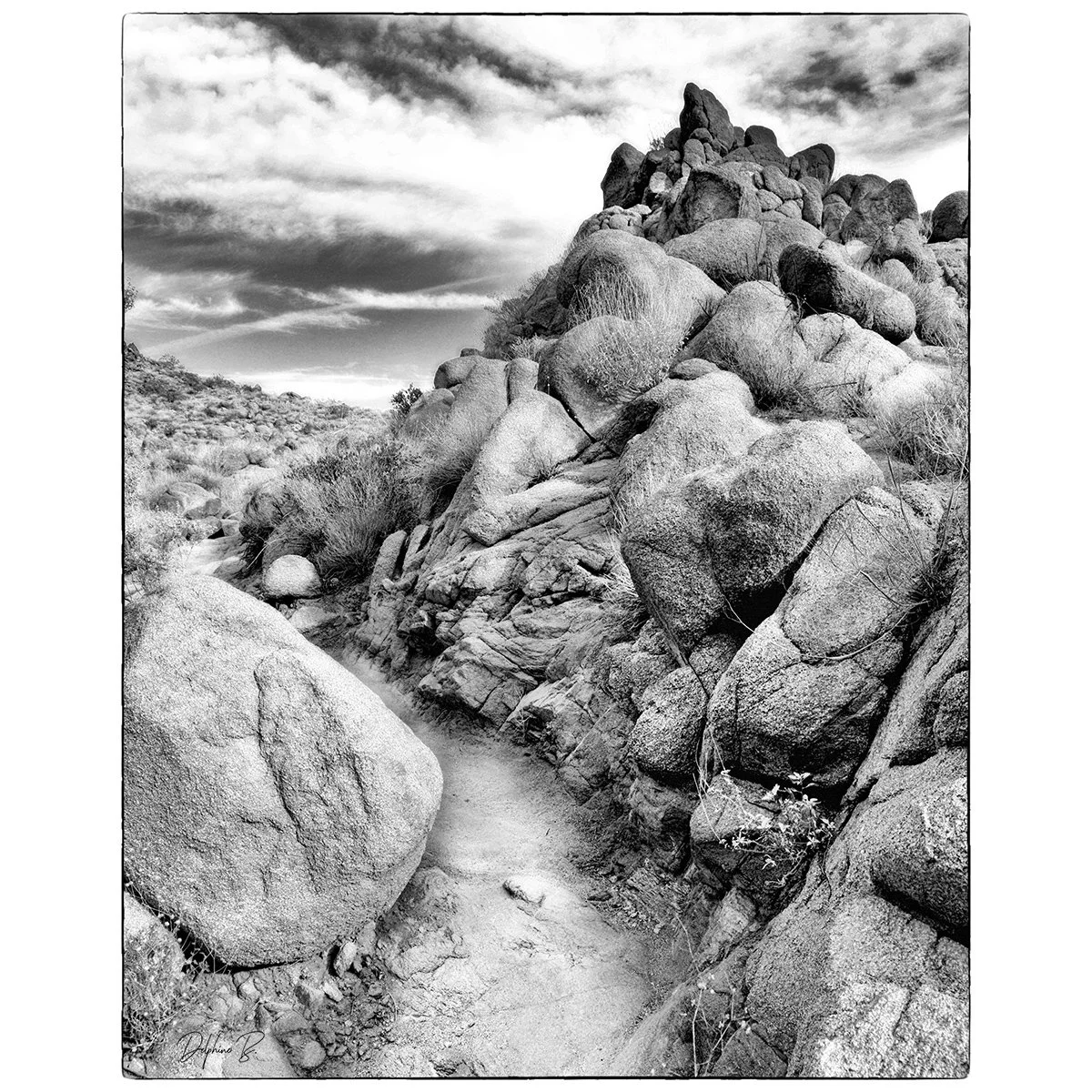 Around the Corner FINAL  WEB THUMB.jpg