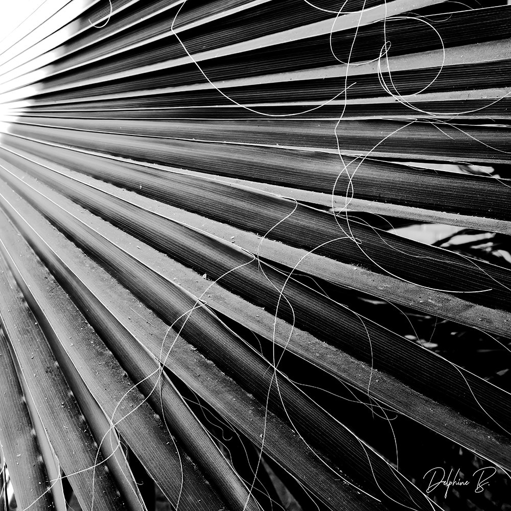 MONOCHROME MOOD WEB.jpg