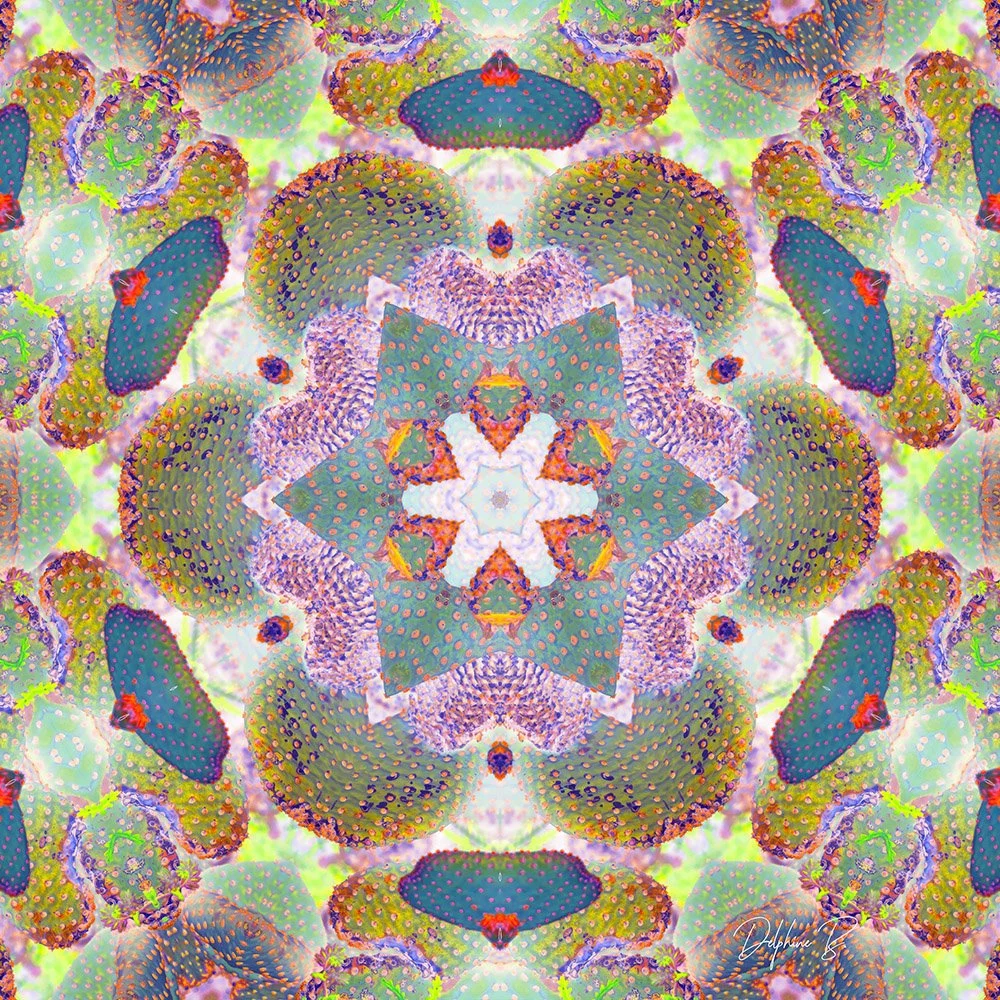 Kaleidoscope Hive FINAL WEB.jpg