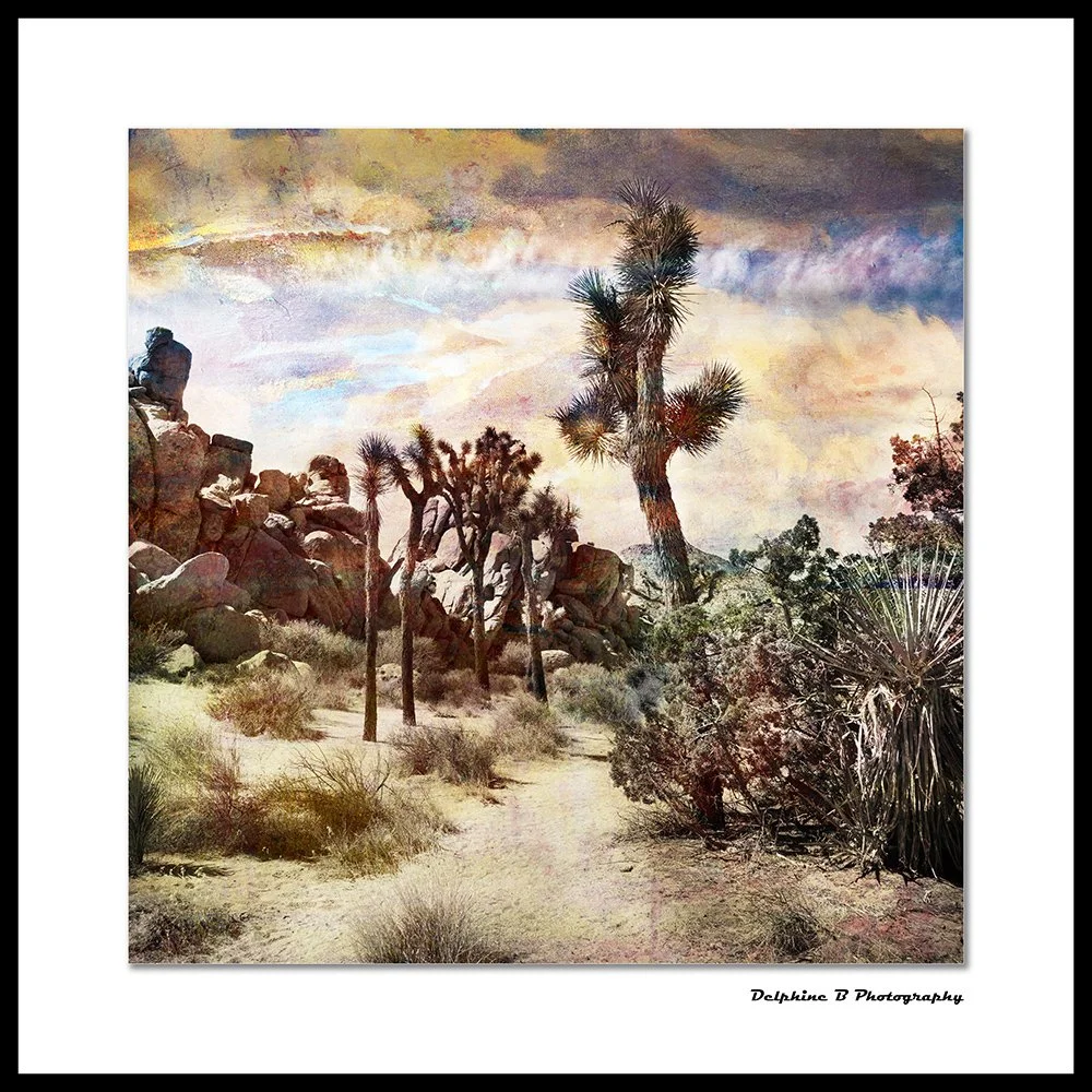 Route to the Painted skies CANVAS SMALL.jpg