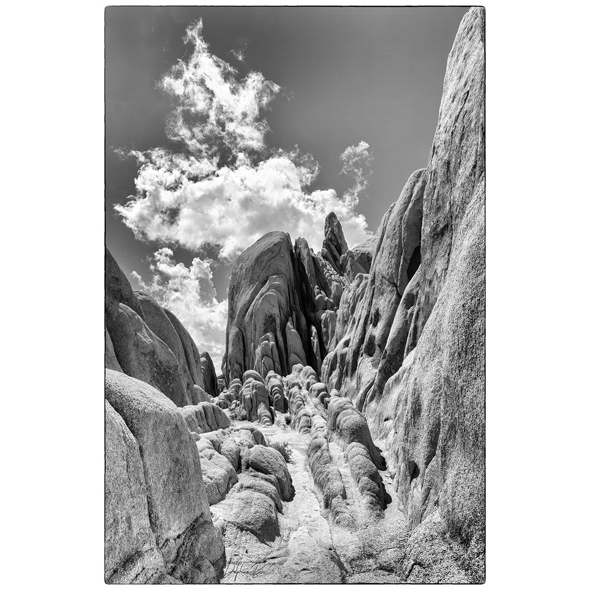 The Path to the Clouds 24x36 FINAL WEB THUMB.jpg