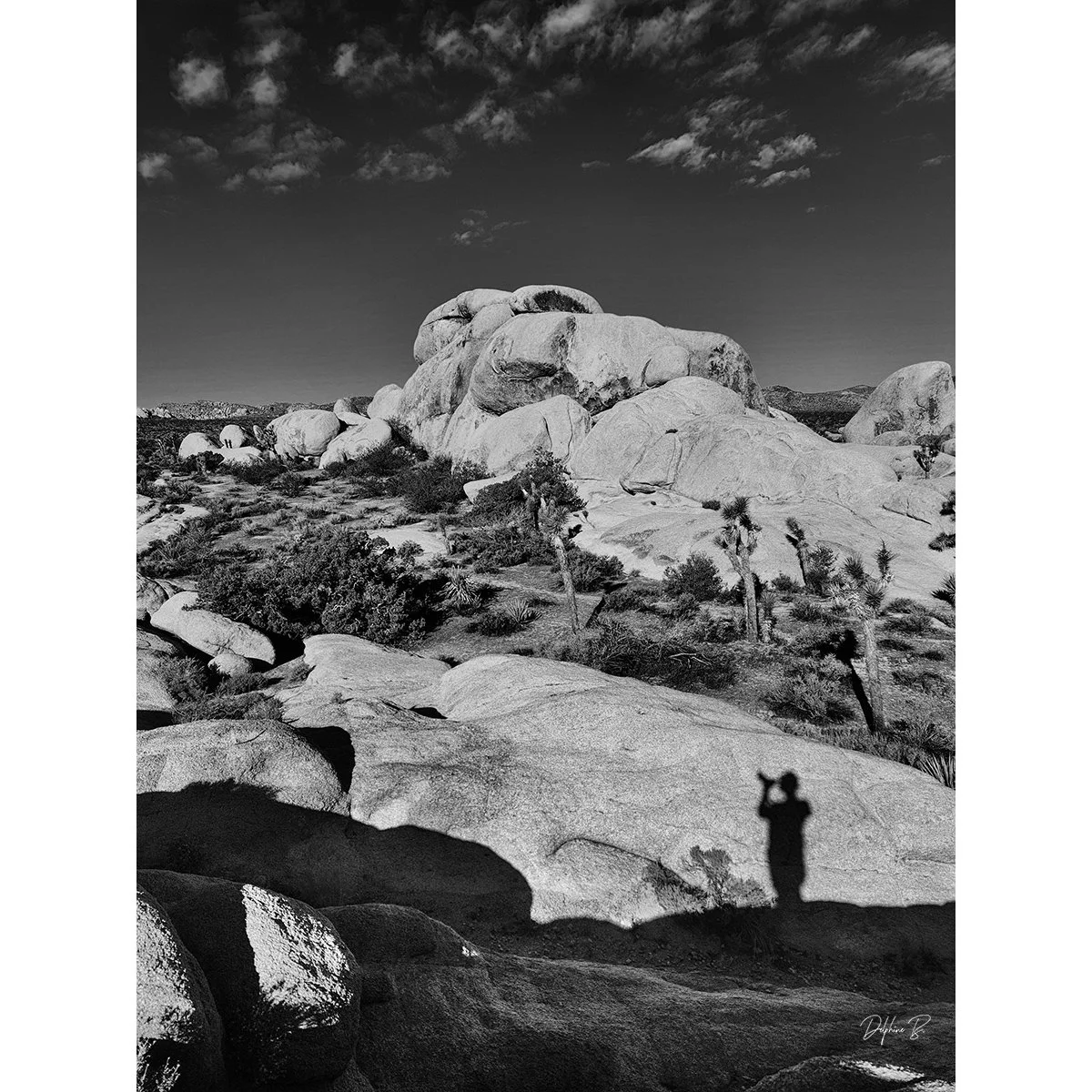 SELF PORTRAIT 24x36 Final WEB THUMB.jpg