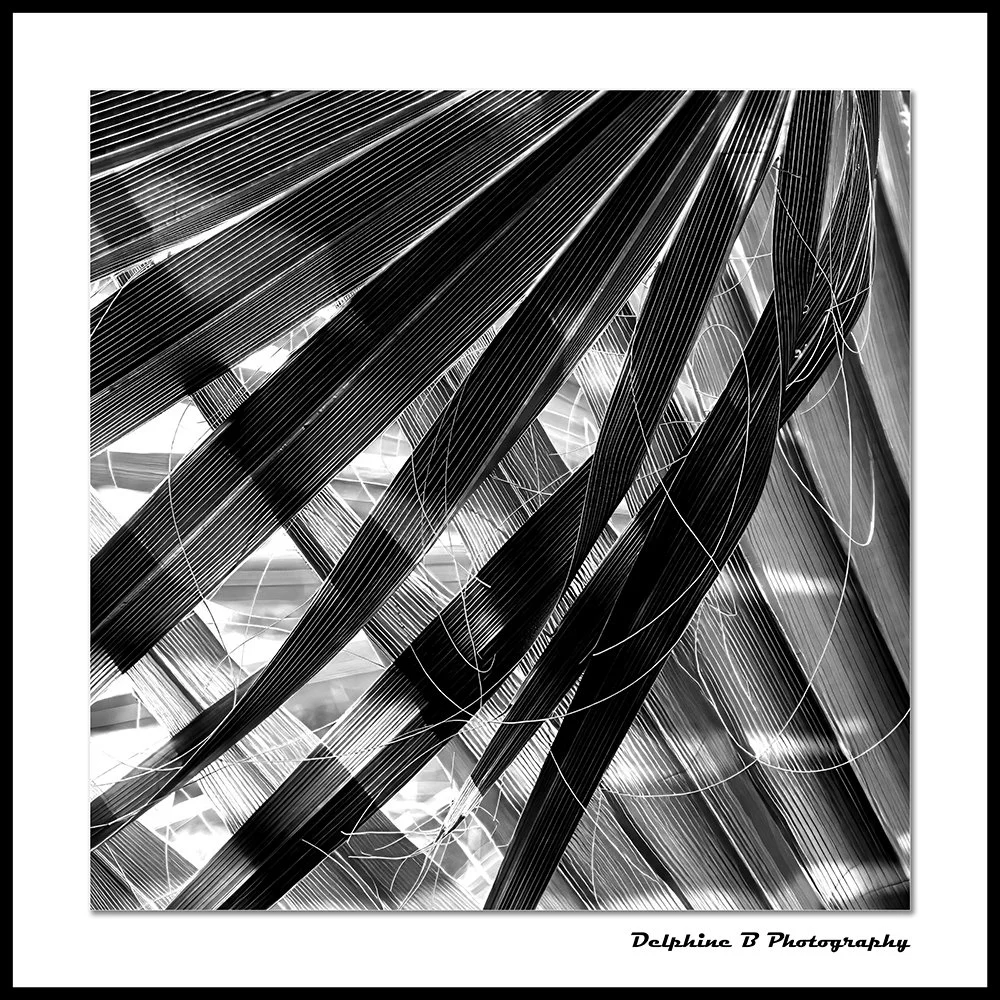 WOVEN SHADOWS 16x16 CANVAS SMALL.jpg