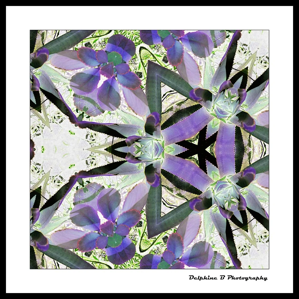 Praying Mantis Jamboree FINAL 20X20 FINAL CANVAS SMALL.jpg