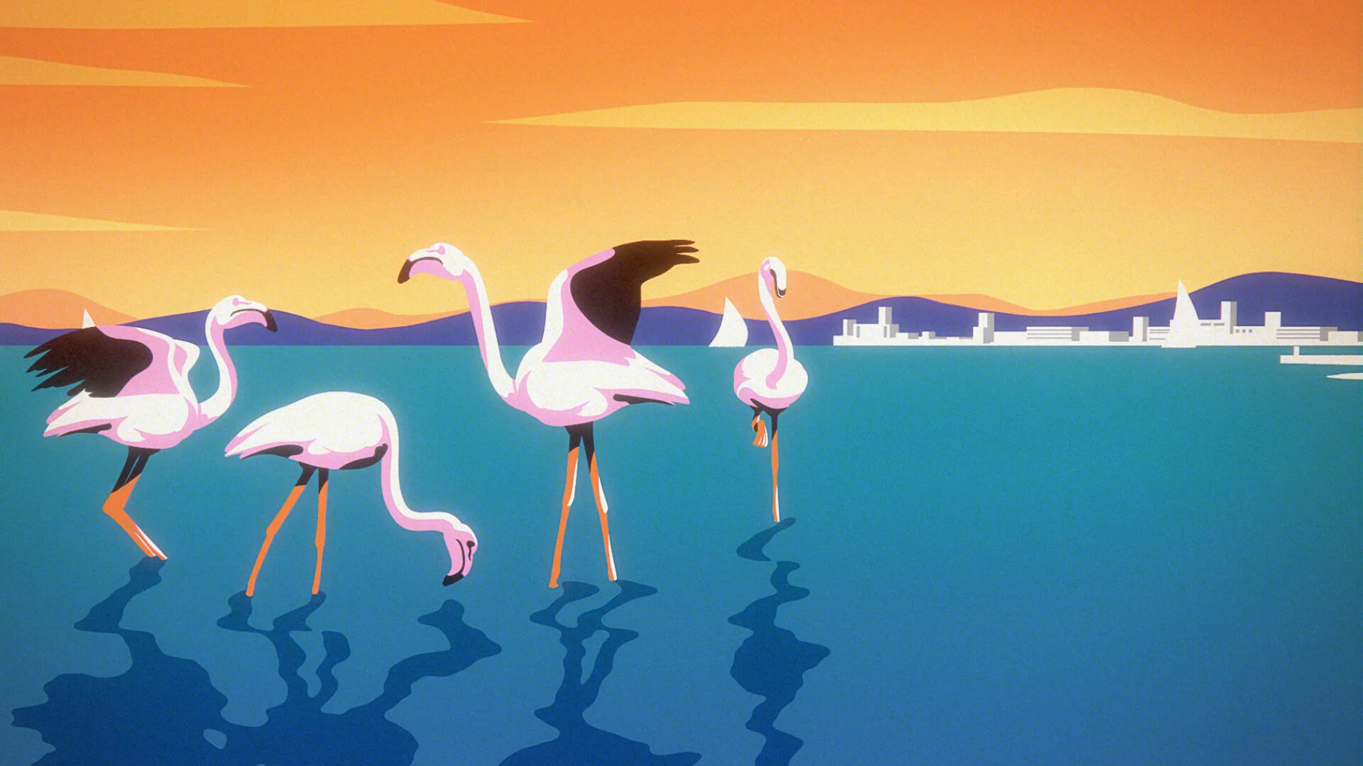 flamingos.jpg
