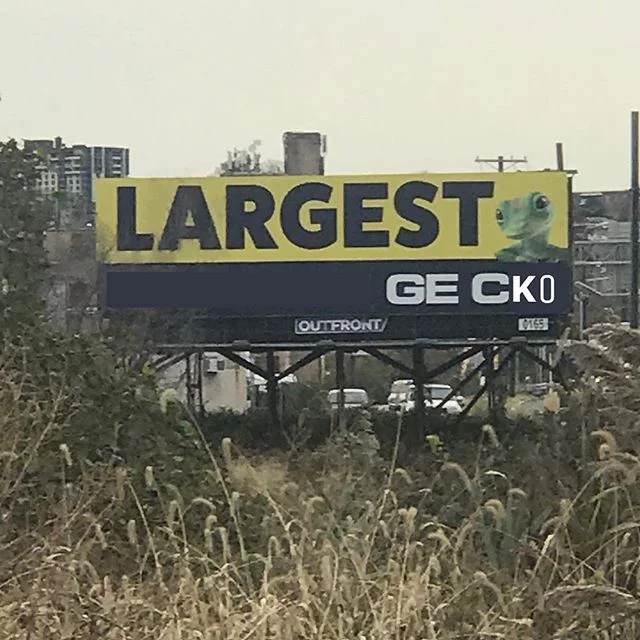 #LargestGecko #Geico #ReadDaSign
