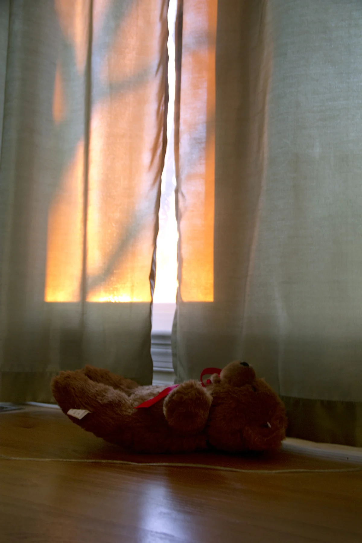 Poor Teddy (2011)
