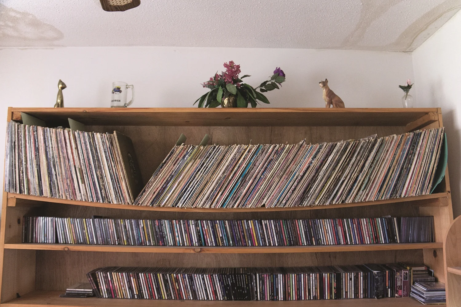 Daddy's Saggy Shelves (2014)
