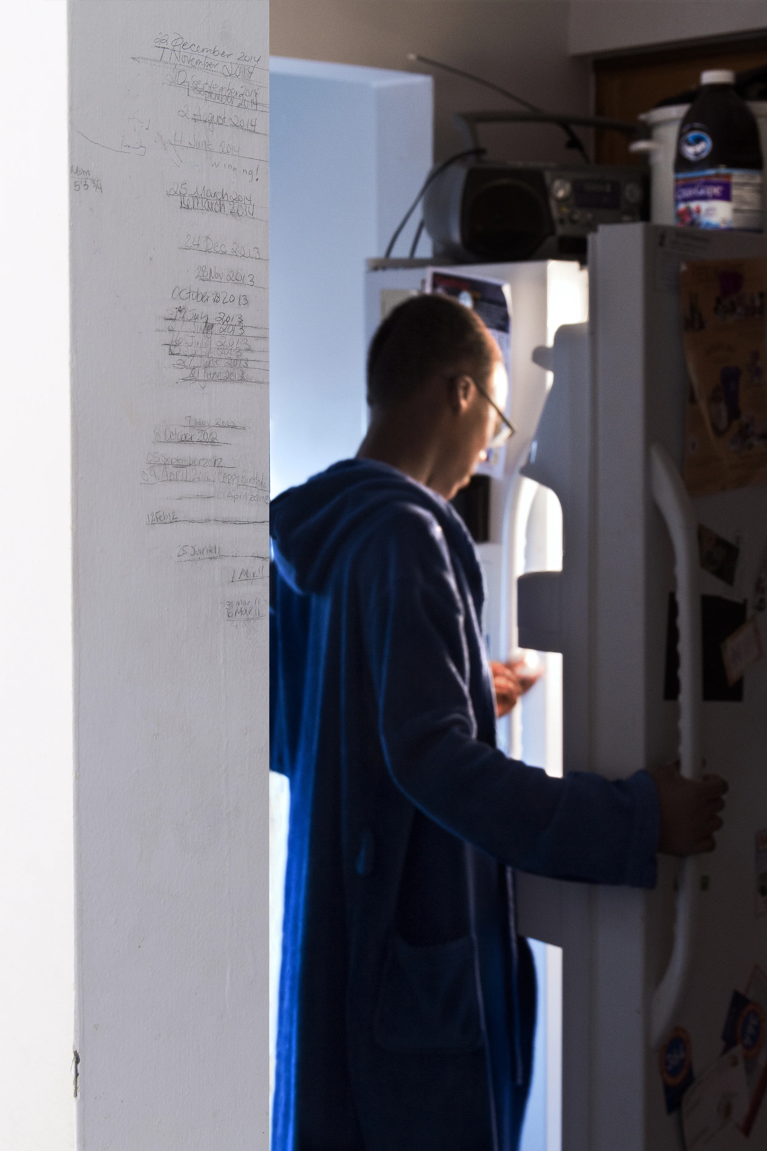 Refrigerator Lance (Height Chart) (2015)
