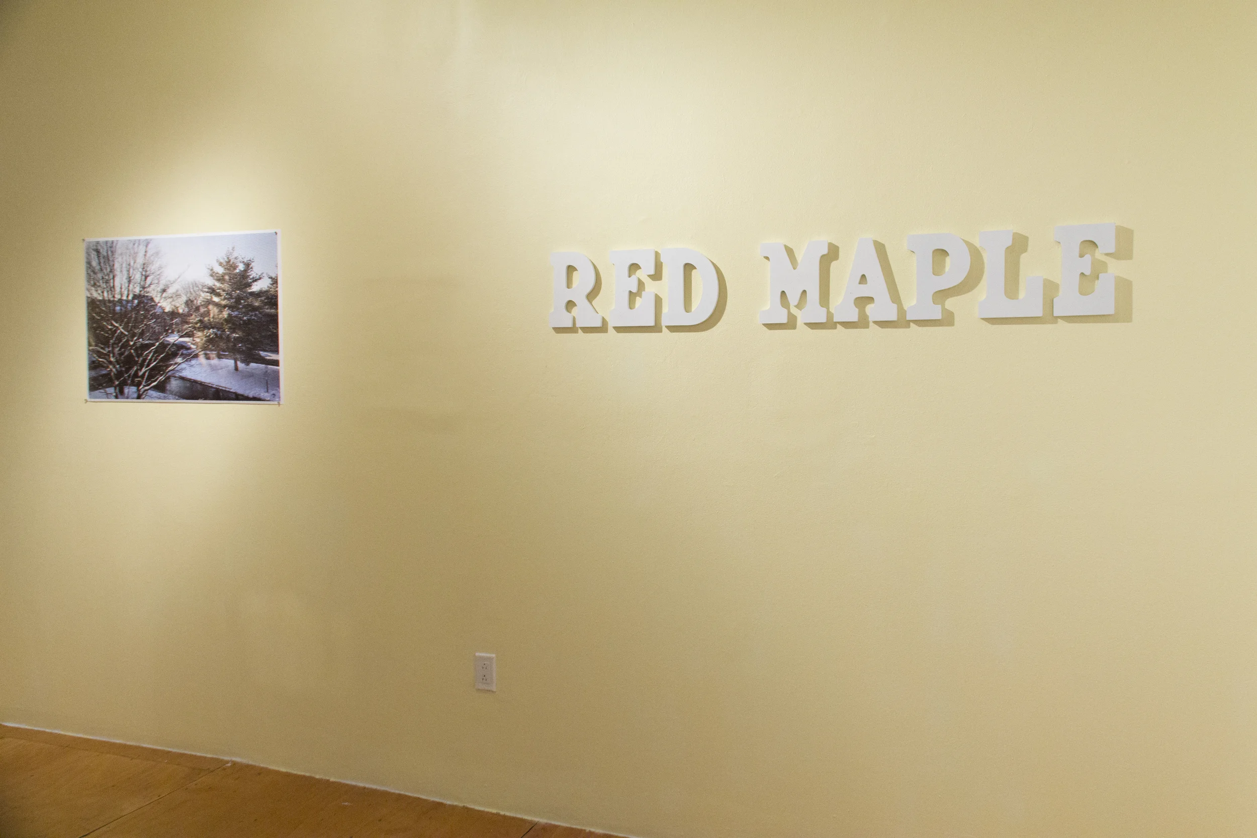 Red Maple Install-19.jpg