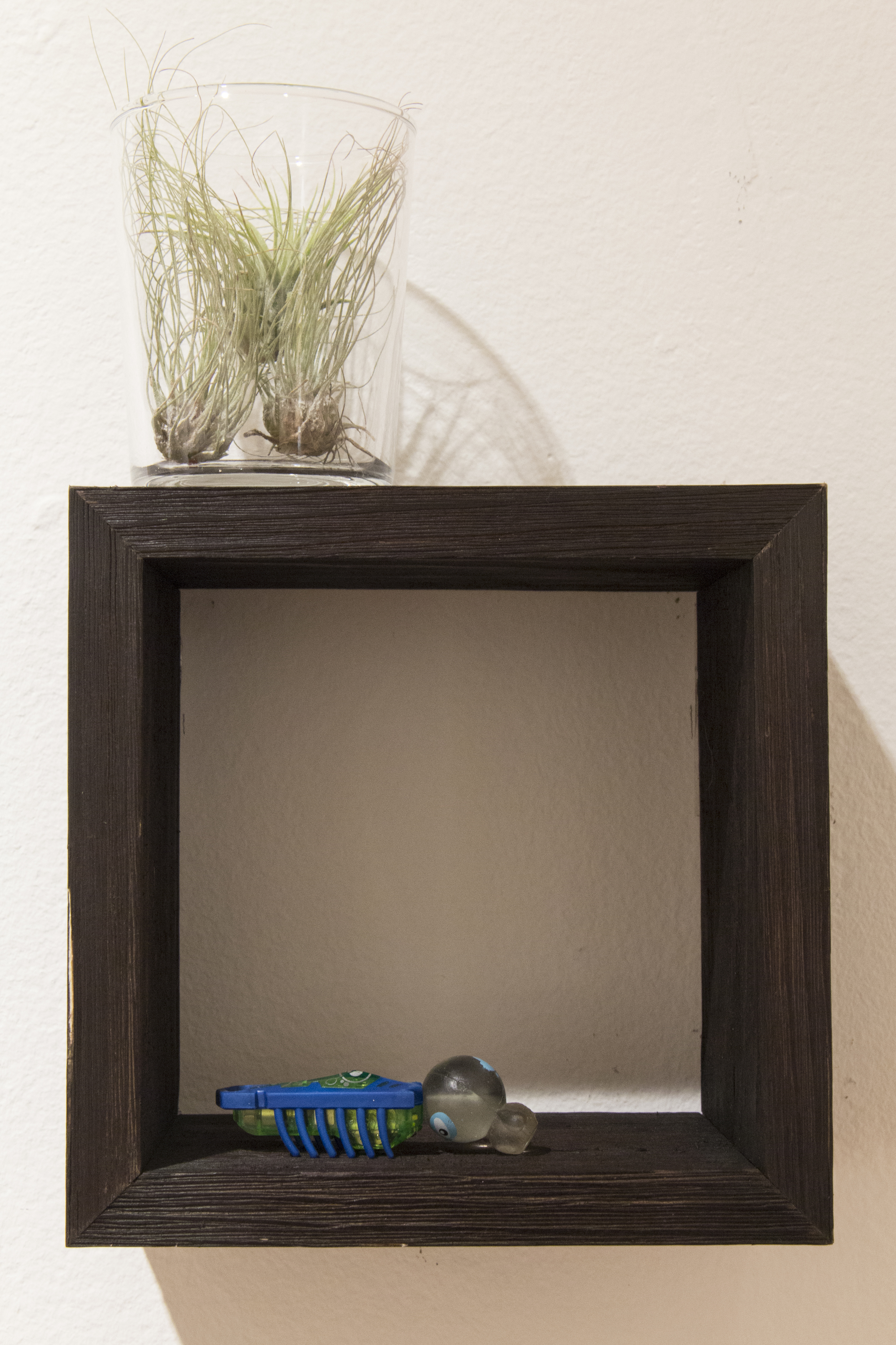 Red Maple Install-48.jpg