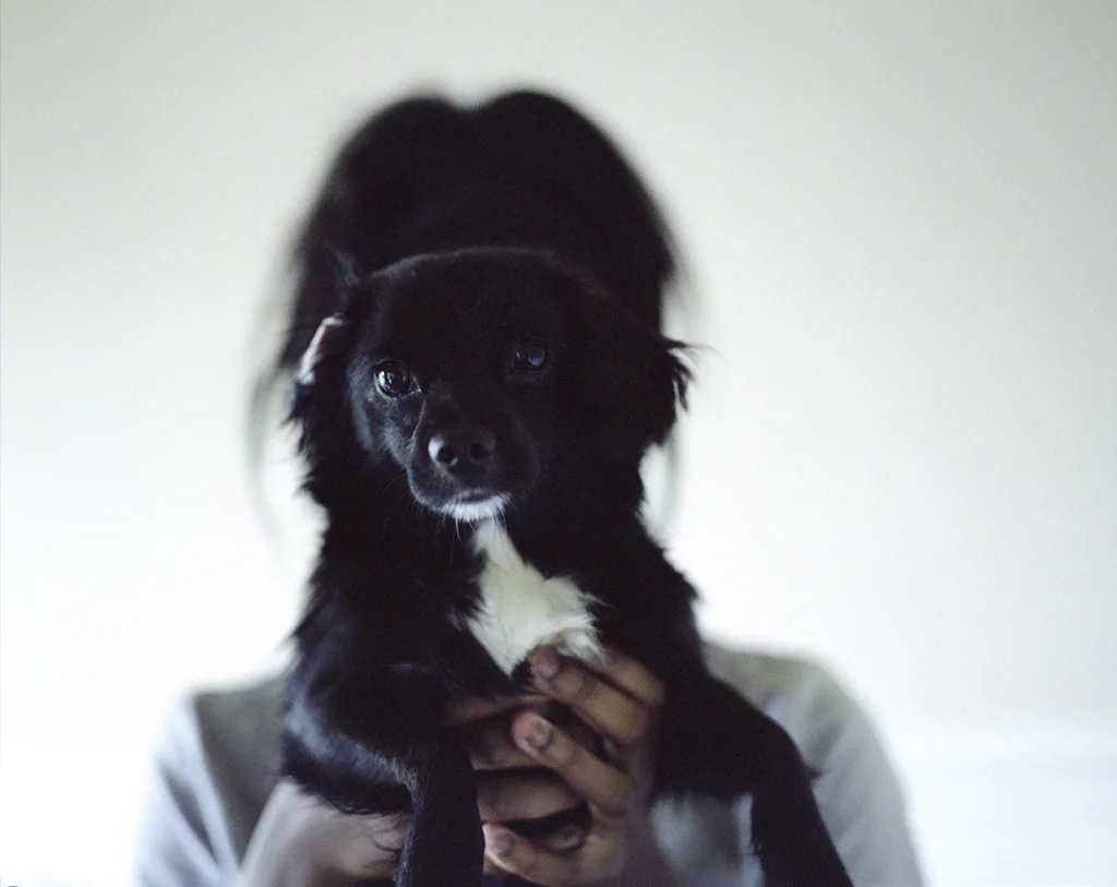 A Handful of Oreo