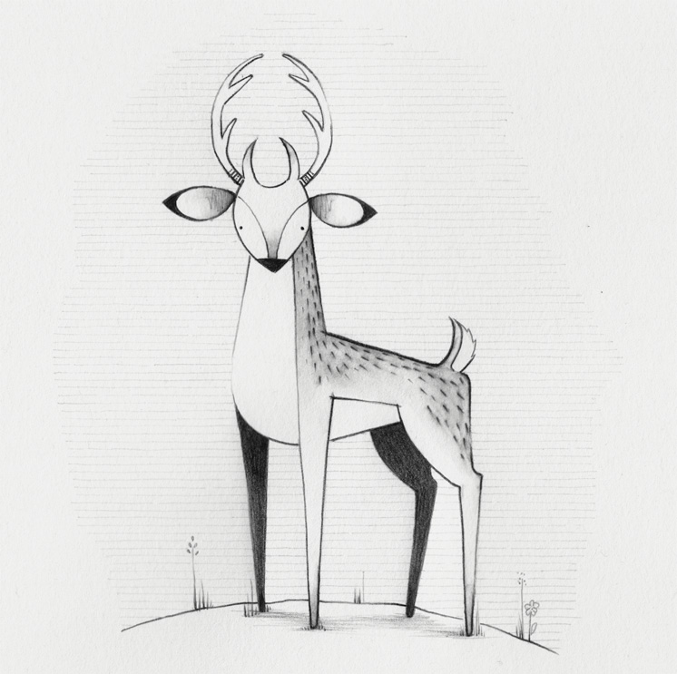 stag_Mairead-Murphy.jpg
