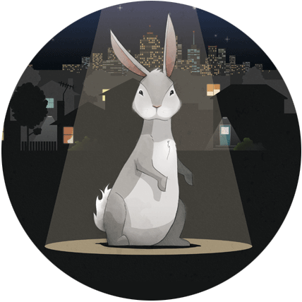 Mairead_Murphy_one_runaway_rabbit_childrens_book.png
