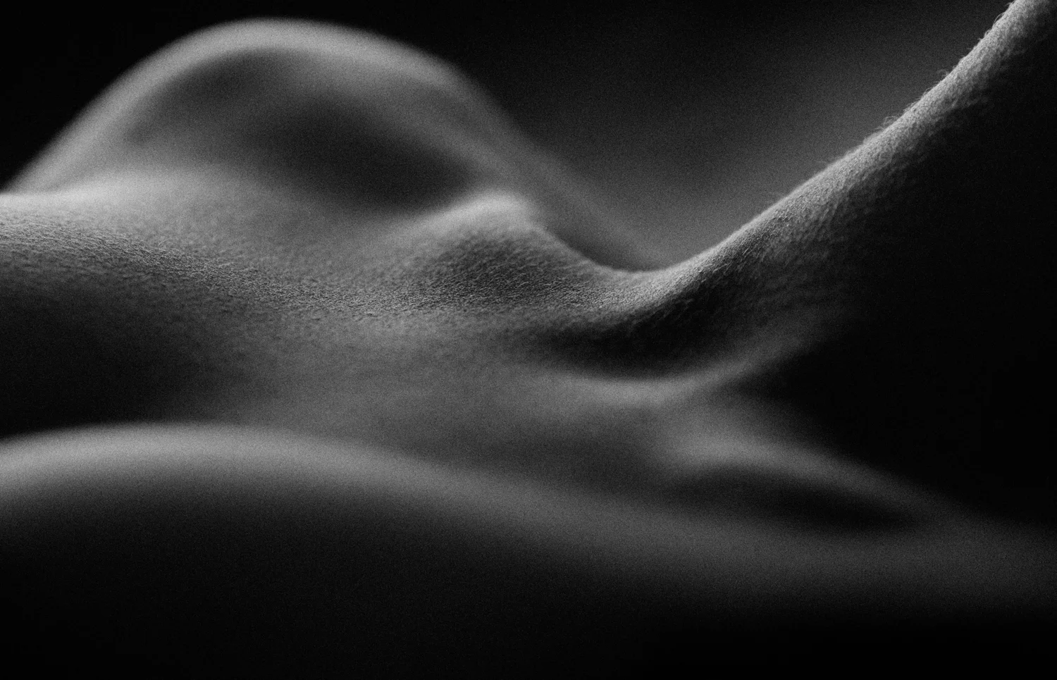 ~m~copyright 2011 A McBurnie-4.jpg