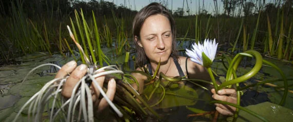 Putting The Wild In Wilderness