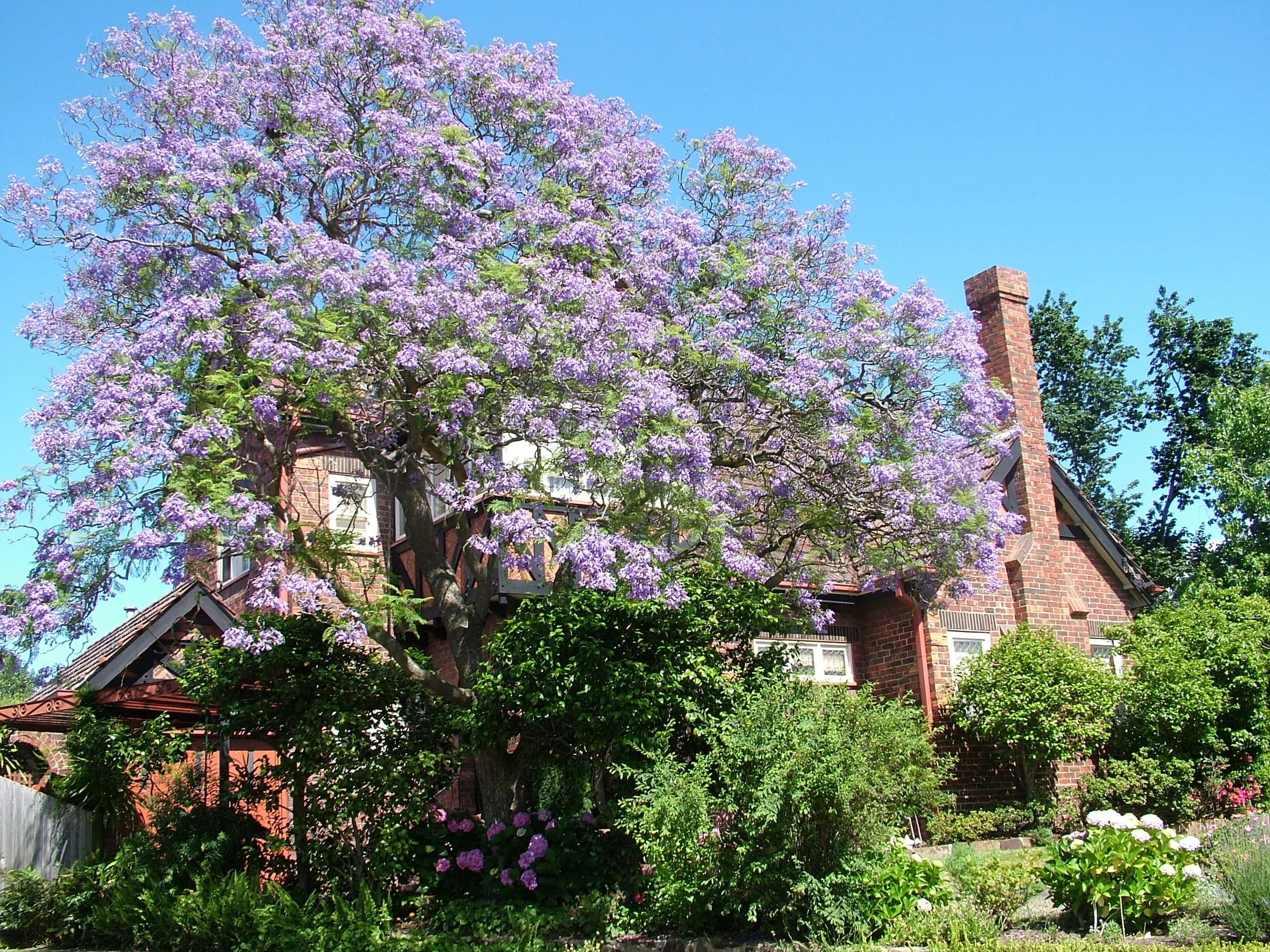 Get Some ReLeaf this Weekend