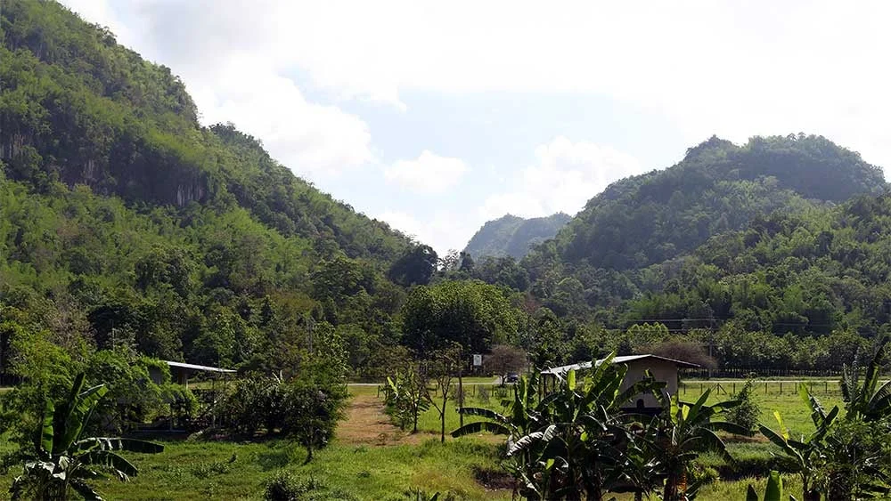 Not all Those Who Wander are Lost